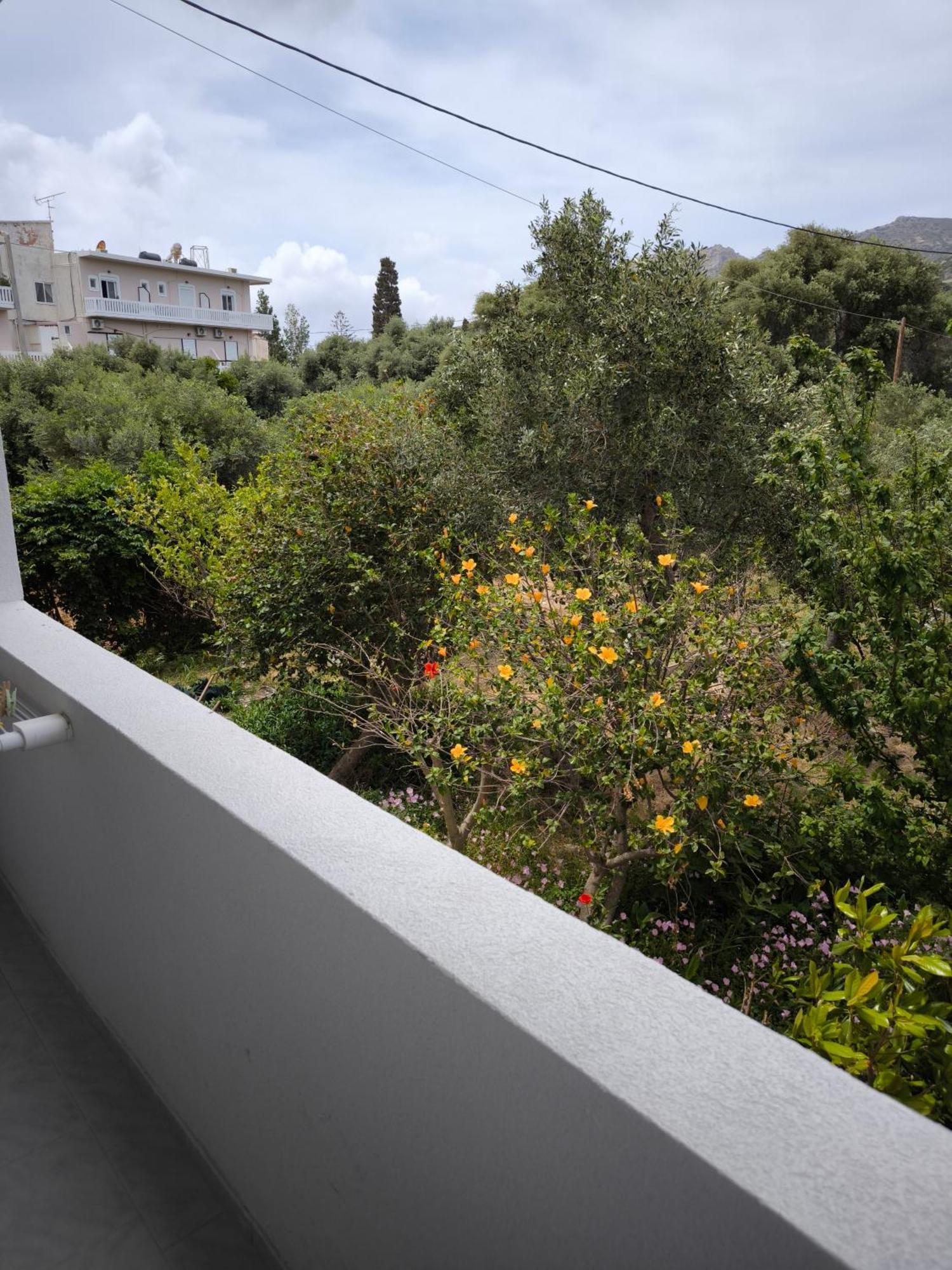 Alexia Rooms Παλαιοχώρα Εξωτερικό φωτογραφία